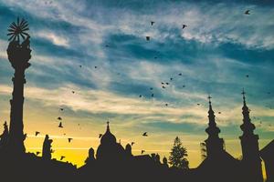 Timoasara silhouettes and birds during sunset photo