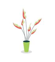Indoor plant flat color vector object