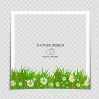 Natural Background Photo Frame Template with flowers for post in Social Network vector