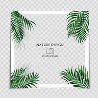 Natural Background Photo Frame Template with Palm leaves for post in Social Network vector