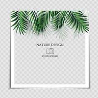 Natural Background Photo Frame Template with Palm leaves for post in Social Network vector