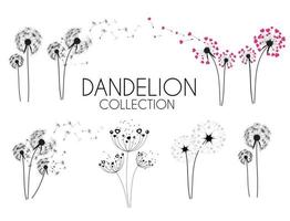 Abstract Dandelion Collection Set vector