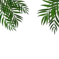 Abstract Realistic Green Palm Leaf Tropical Background vector