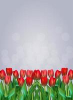 Realistic Vector Illustration Colorful Tulips Background