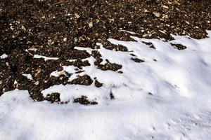 Snow like waves on the shore photo