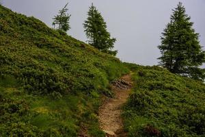 Path between the peaks of the Lagorai photo