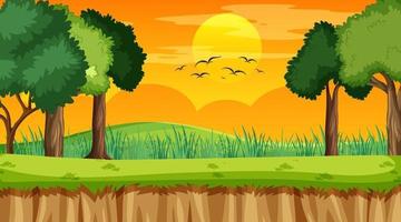 Blank landscape scene of nature park at sunset time vector