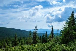 Carpathian Mountains Panorama of green hills in summer mountain photo