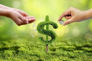 Tree grows into a shape pointing up the concepts of financial business growth photo