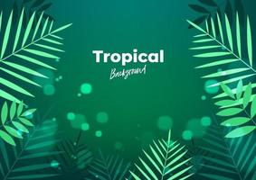 Summer night tropical background for banner or flyer with dark green palm leaves vector