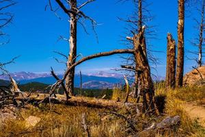 Path on the Chautauqua Park in Boulder, Colorado photo