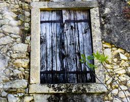 Wooden window with fig leaves photo