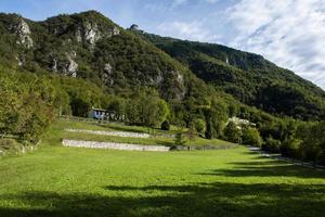 Farm surrounded by greenery photo