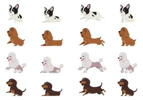 French bulldog Cocker Spaniel Poodle and Dachshund in different poses vector