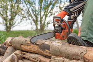 Man saws firewood with a red chainsaw photo