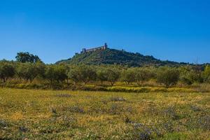 Panoramic view of the castle in Assisi photo