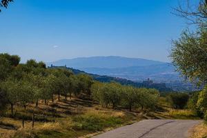 Panoramic view of the Basilica in Assisi photo