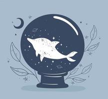 astrología bola de delfines vector