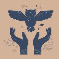 owl hands astrology vector