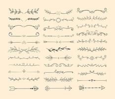 divisores y separadores vector