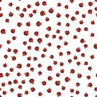 Cute Ladybug Seamless Pattern Background vector