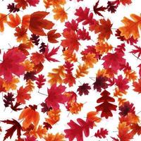 Autumn Falling Leaves Seamless Pattern Background vector