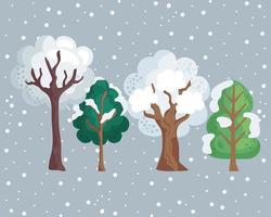 winter season trees vector