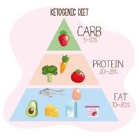 keto dieting pyramid vector