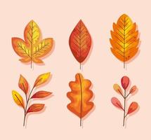 six autumn leafs vector