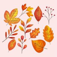 autumn leafs pattern vector