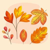 autumn five leafs vector