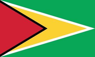 vector illustration of Guyana flag