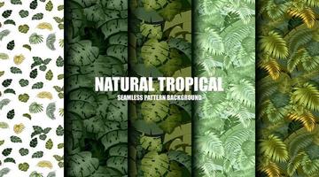 Tropical palm leaves pattern background vector