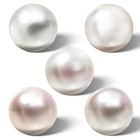 Shiny natural sea pearl with light effects vector