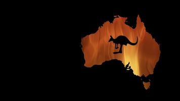 ilustração de vídeo em movimento fogos na austrália