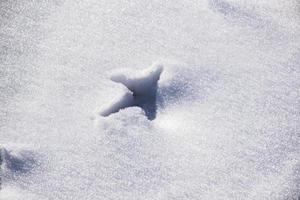 Footprints in the snow photo