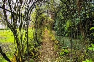 Parque en la Villa Pisani en Stra Venice, Véneto, Italia foto