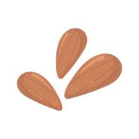 almond nuts food vector