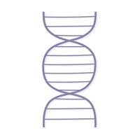 genetic dna structure vector