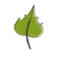 Grape leaf isolated vector