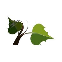 Grape leaf isolated vector