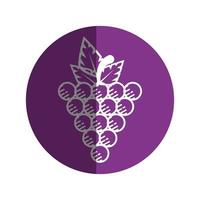 Delicious grapes fruit vector