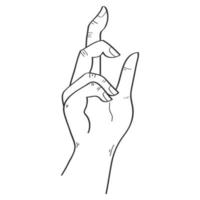 k hand expression vector