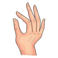 hand expression o vector