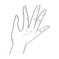 q hand expression vector