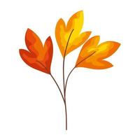 autumn branch dry vector