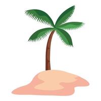 tree palm beach vector