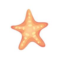 icono de concha de estrella de mar vector