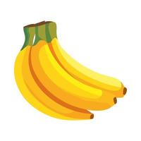 bananas fresh fruit vector