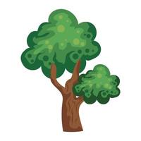 primavera de la planta del árbol vector